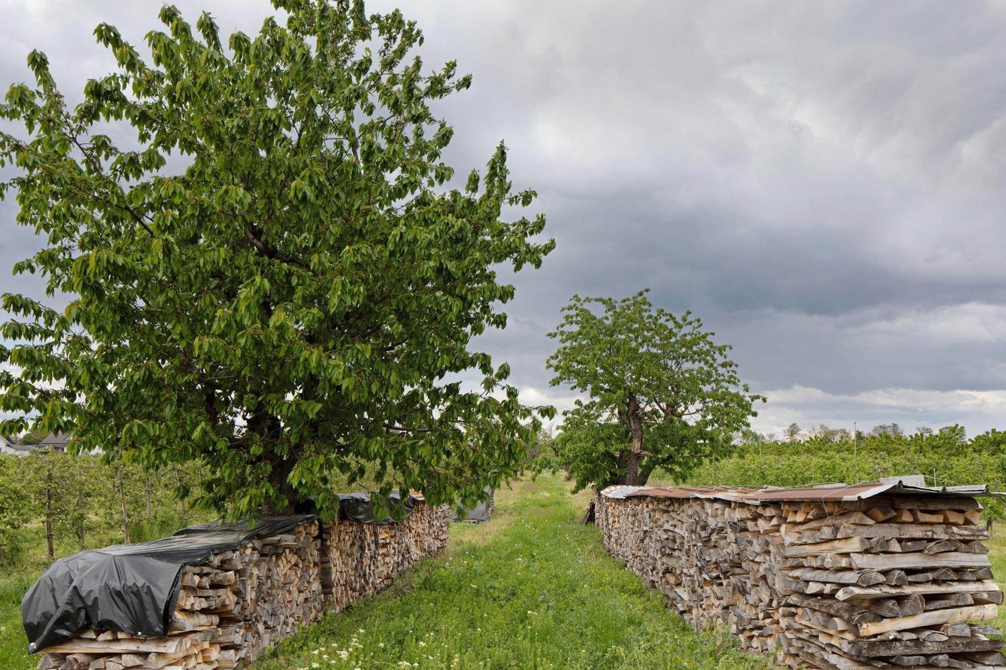 Schloessle Sasbach am Kaiserstuhl